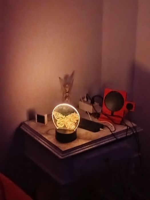 Luz Noturna, Luminária