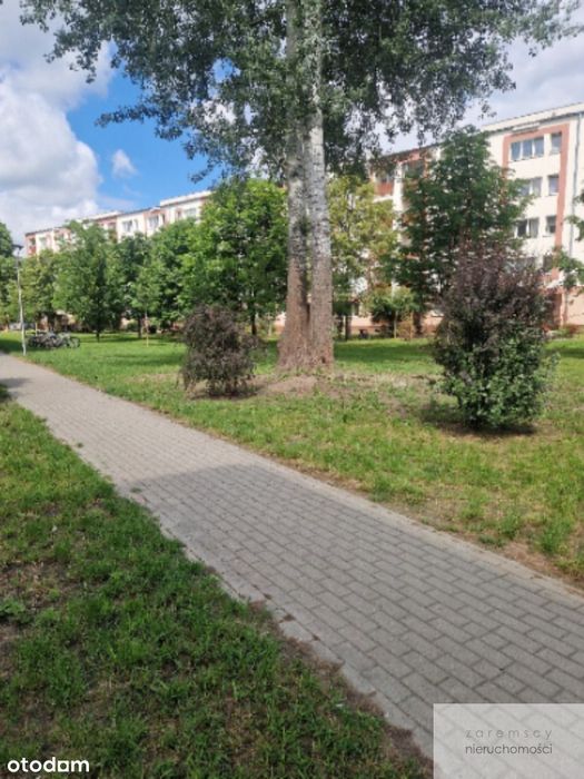 Idealne dla każdego !!!