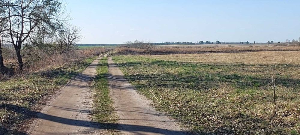 Комерційна пропозиція!  Синяк, 7.6 га, ОСГ.  Біля води