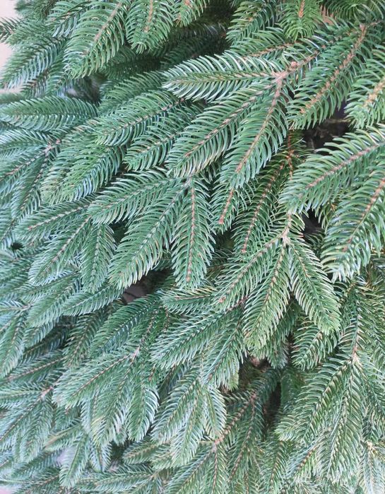 Топ!Лита ялинка Швейцарська штучна Преміум! Искуственная ель Елка!