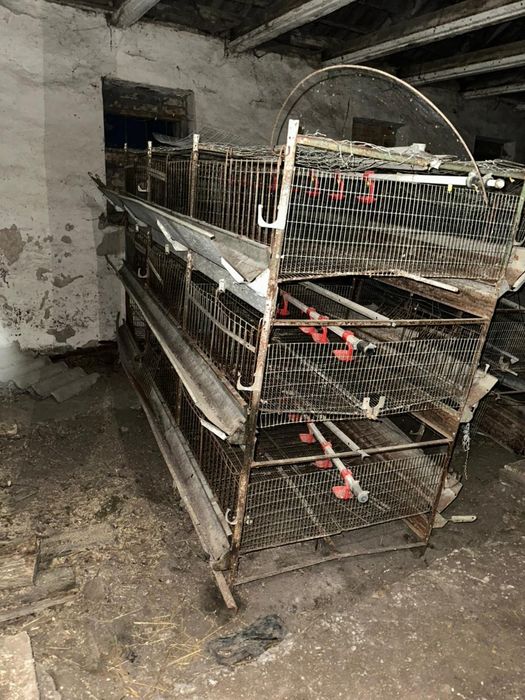 Клітки для курчат