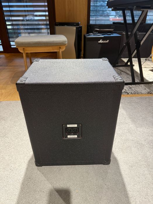 Euphonic Audio wizzy 12”