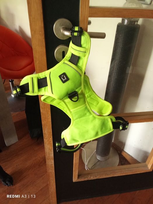 Peitoral XL em excelente estado