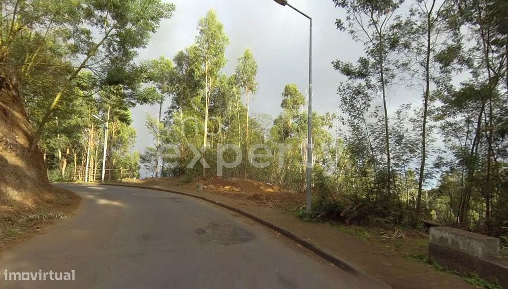 Terreno com 2060m2 com capacidade construtiva em Gaula, Madeira