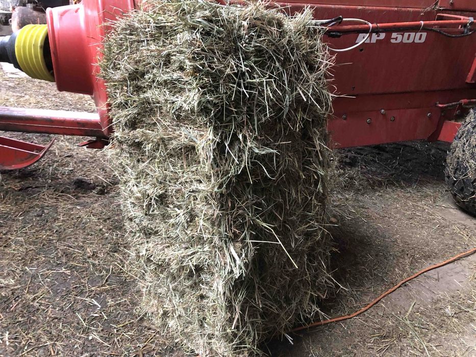 Продам сіно у тюках. В наявності багато