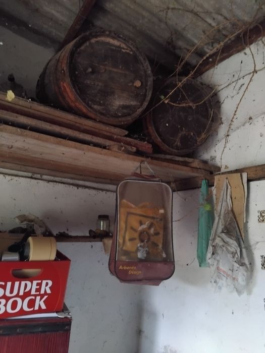 Pipos antigos em bom estado