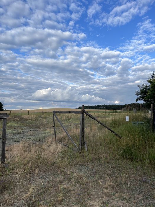 Dzialka budowlana 1389 m² | Media | Spokojna, zielona okolica