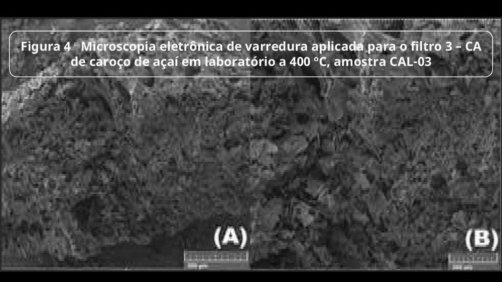 Carvão de Caroço de Açai