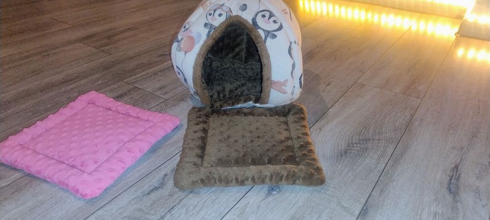 Domek dla świnki morskiej