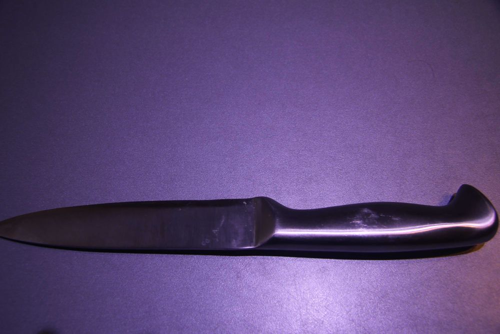 Fackelmann Nirosta Nóż 15/28 cm Stal nierdzewna Srebrny