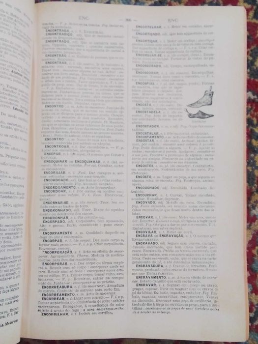 Dicionário Prático Ilustrado (1947 colecionável)