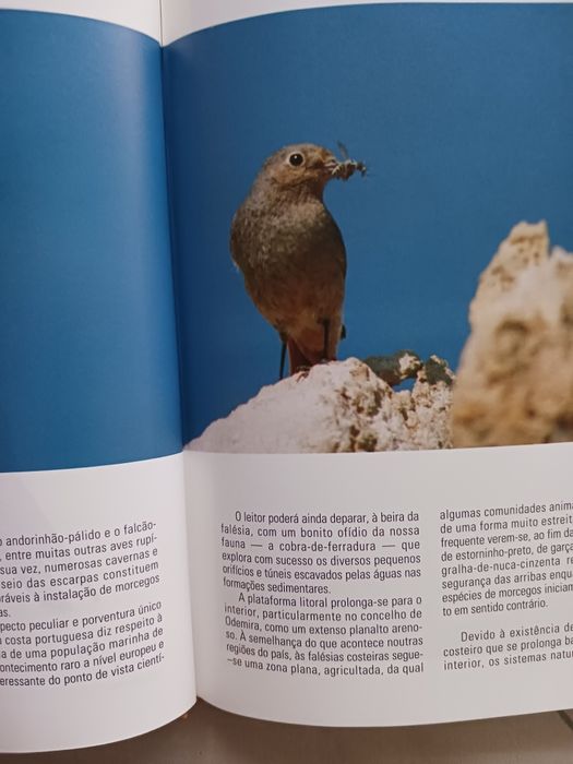 Roteiros da Natureza - Regiões de Portugal