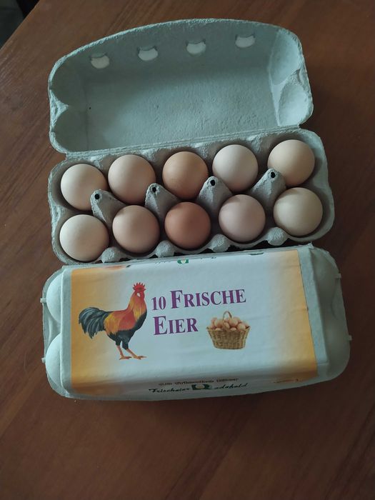 Świerze Jajka Wiejskie