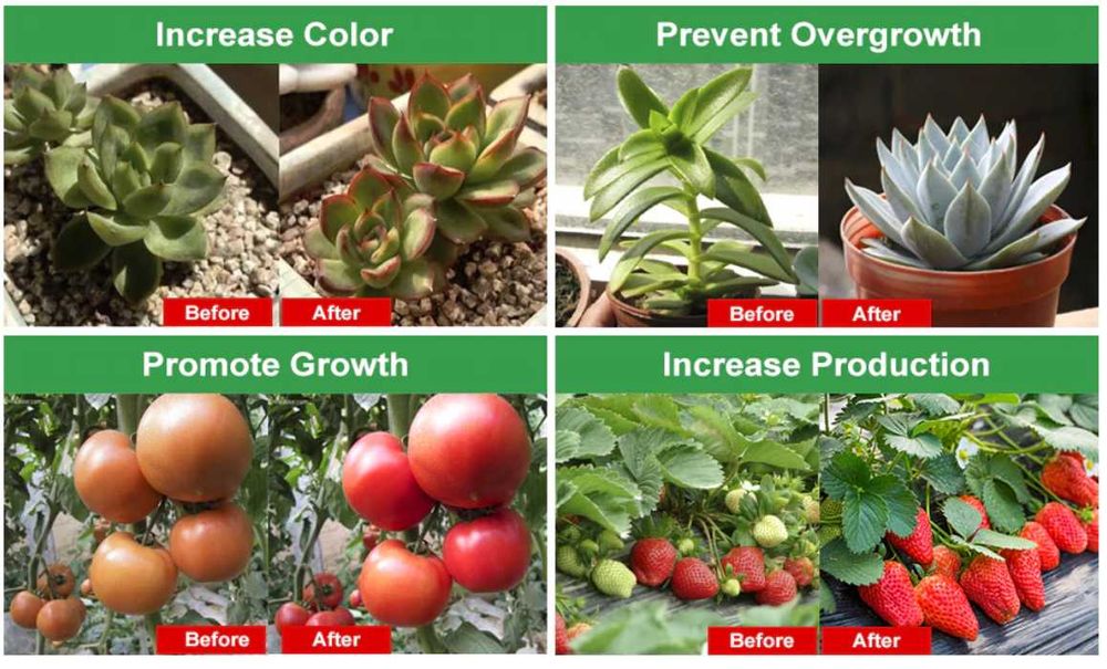 Мощный Фито Ультрафиолетовый прожектор для растений и рассады 50Вт