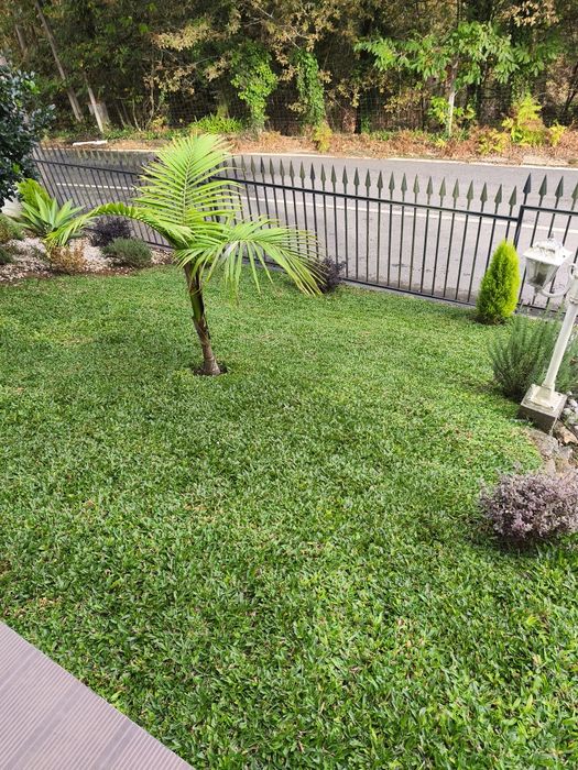 Serviços jardinagem