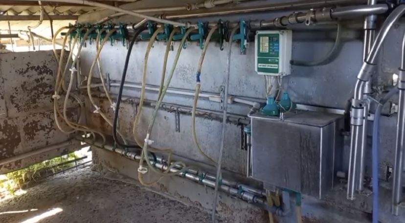 Доильная установка для летнего лагеря КРС УДЛ-12