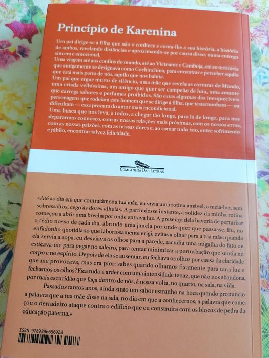 Livro de Afonso Cruz, princípio de Karenina