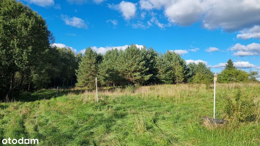 Łaniewo budowlane rekreacja rowery bobry