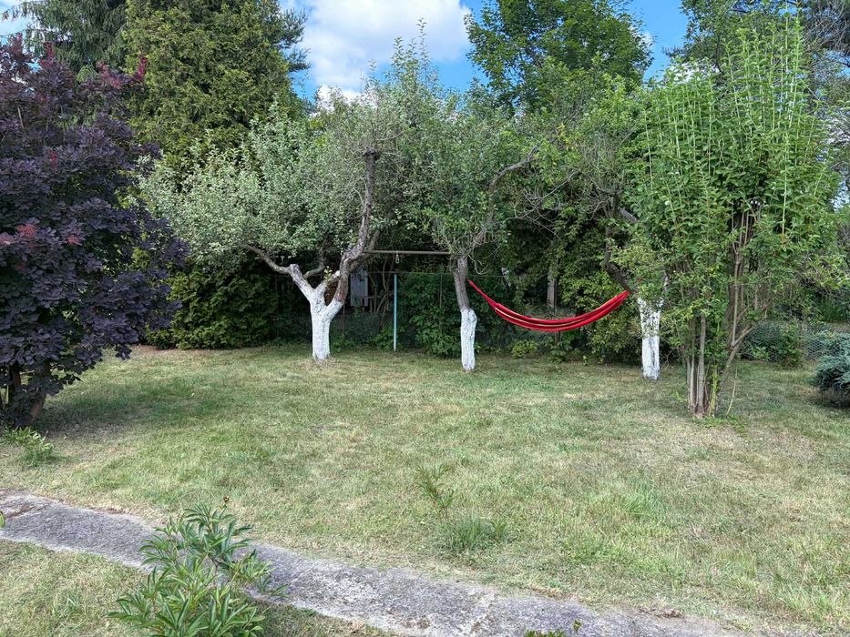 Działka ROD Nad Widawą 396 m² | Murowana altana | Studnia - Widok 2