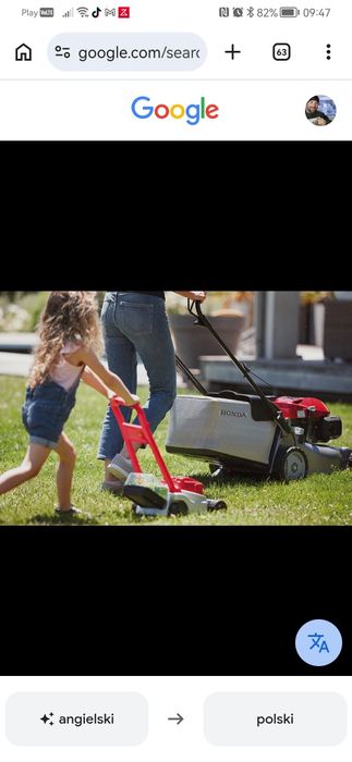Usługi ogrodnicze, koszenie trawy,wycinka drzew, prace porządkowe.