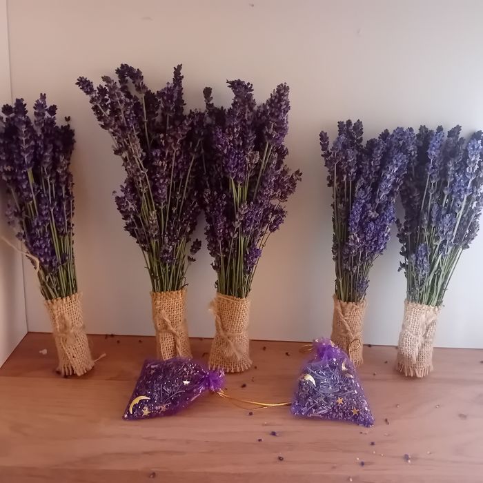 Bukiet suszonej lawendy dekoracja aromaterapia piękna.