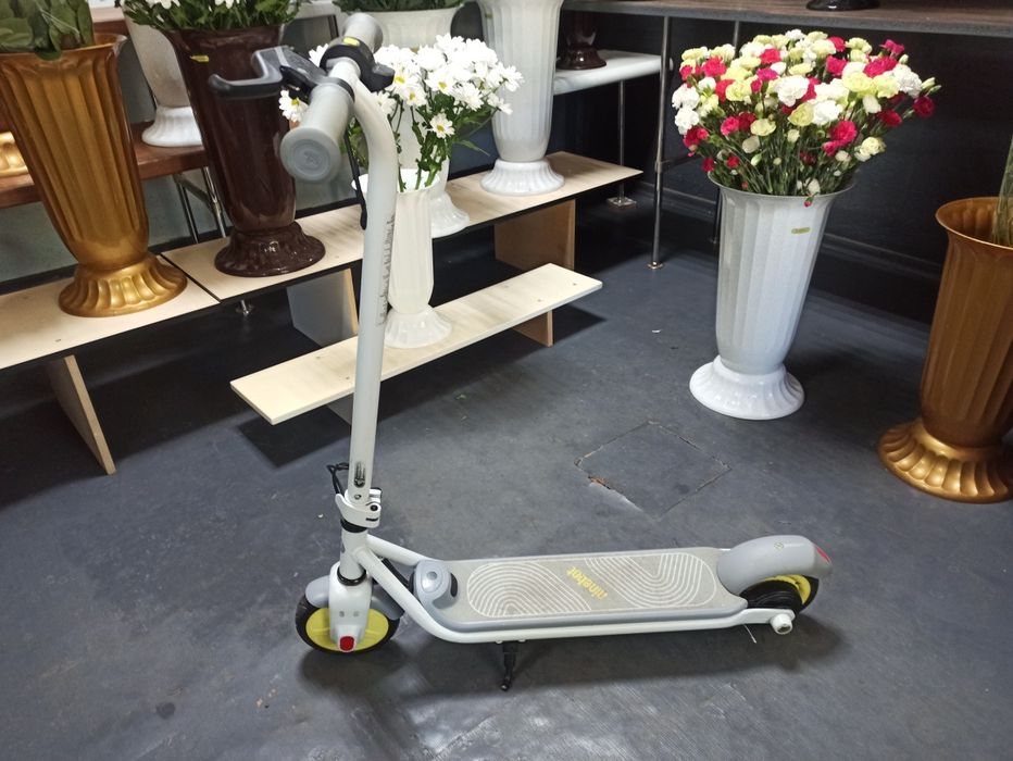Segway Ninebot Zinc C8.