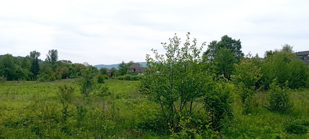 Продам ділянку у рекі Пеня Солочин 6 соток