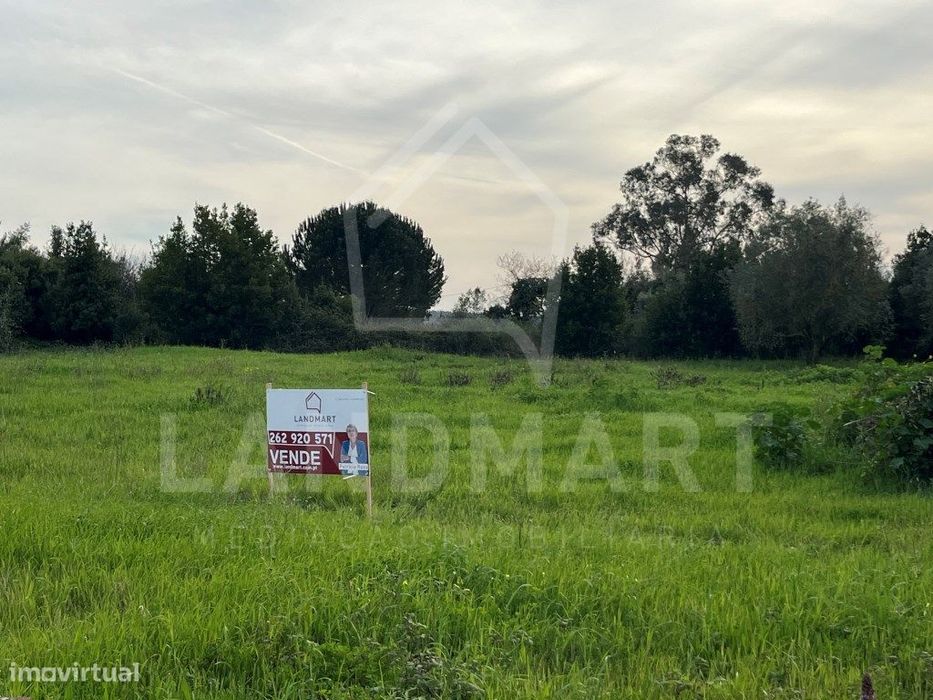 Terreno para construção, Moleanos