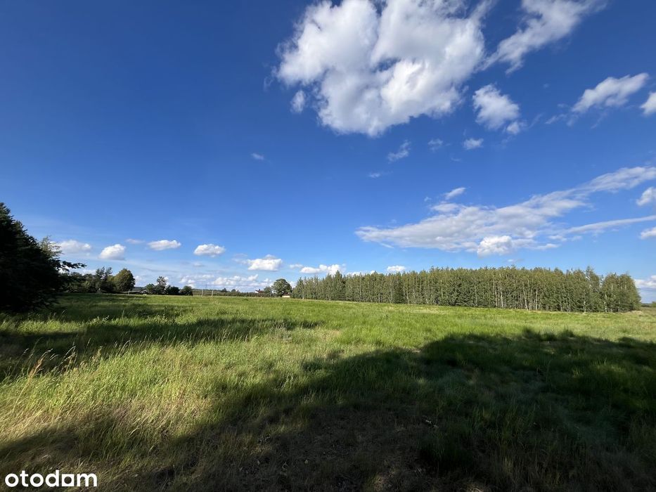 Działka budowlana 2 ha | możliwość podziału od 1000 m² - Widok 4