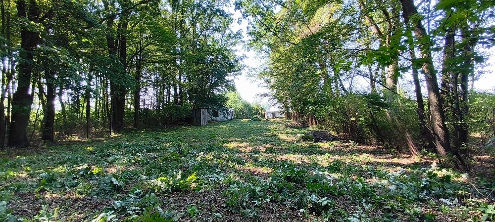 Strzeszkowice Duże – urokliwa działka 1300 m² z murowanym budynkiem, 20 minut od Lublina - Widok 3