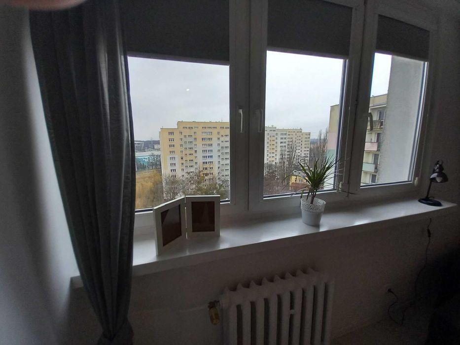 Mieszkanie – Łódź, Zdrowie-Mania, Polesie - Widok 3