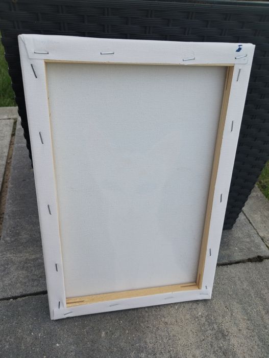Obraz na płótnie 30x20 cm. Biały kot nocą farby tempera i plakatowe