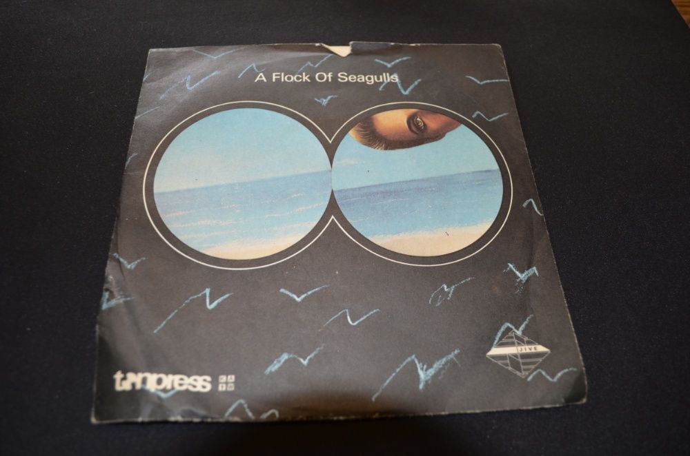 A Flock Of Seagulls wishing / i ran