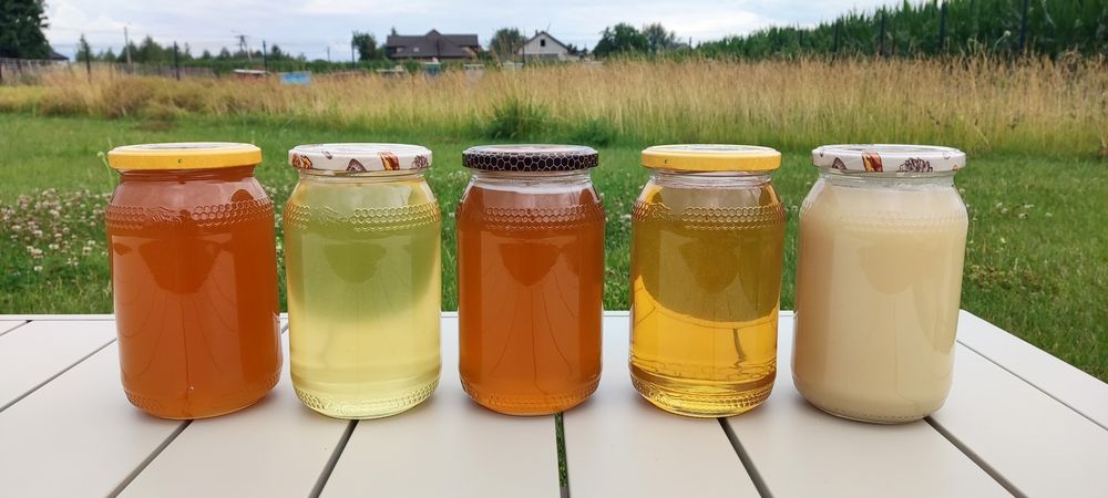 Miód z przydomowej pasieki 2025