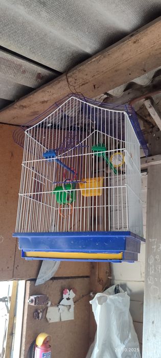 Клітка для папуг комплектна