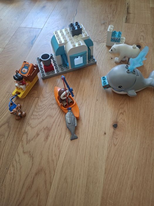 Lego Duplo Arktyka