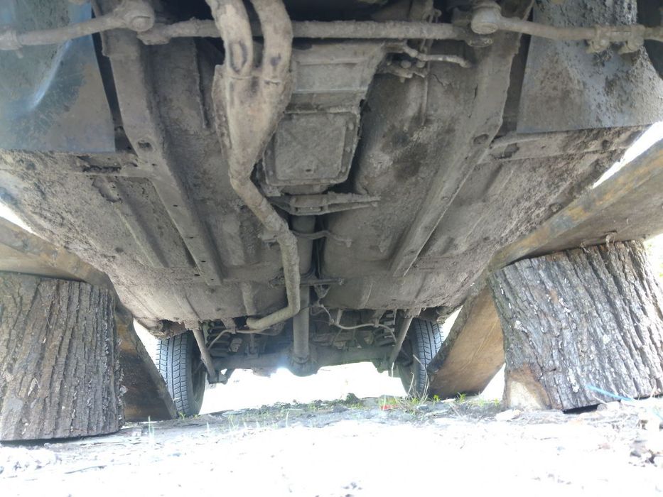 Продам заводиться йде трошки нада по у хаживать