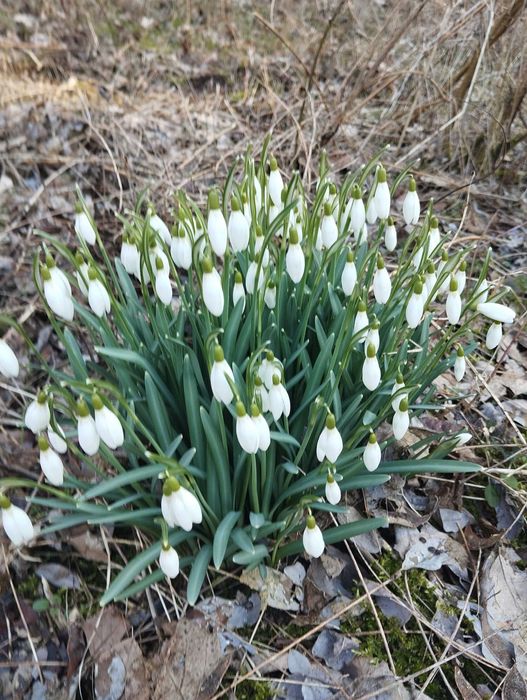 Miód z własnej pasieki.