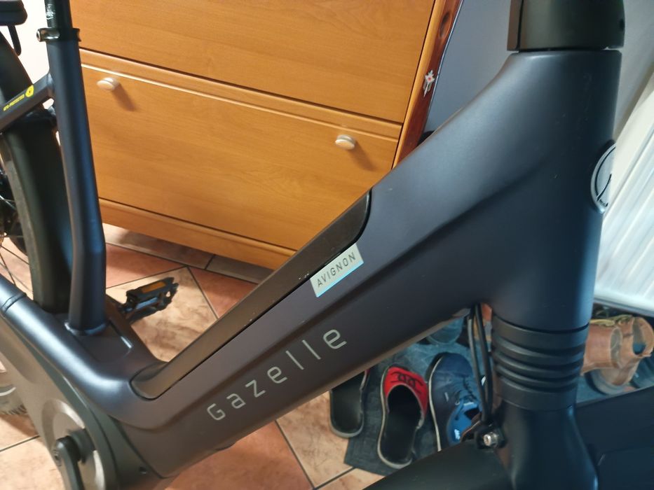 Rower elektryczny Gazelle Avignion C8