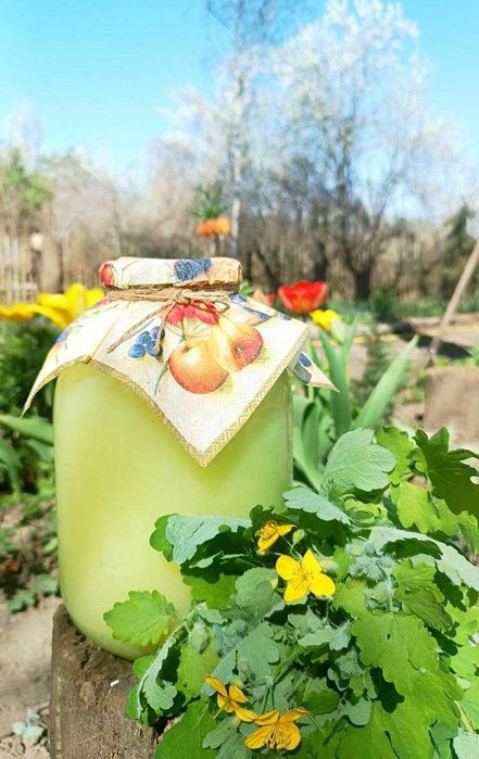 КВАС БОЛОТОВА (на чистотілі )