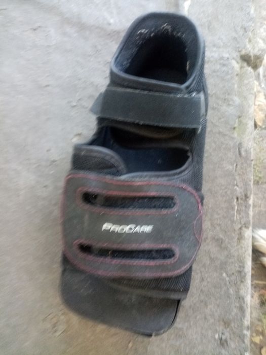 Тапок барука.   .