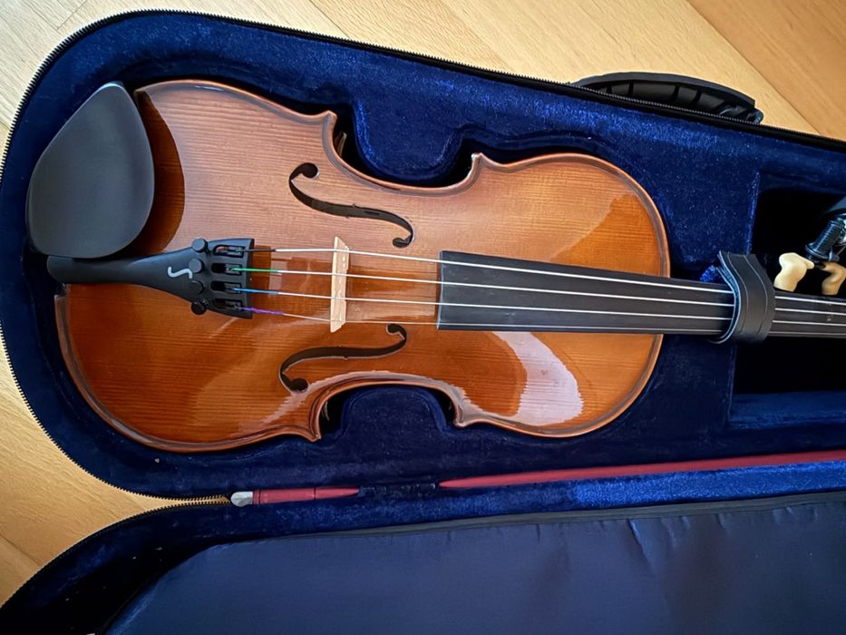 Violino em excelente estado
