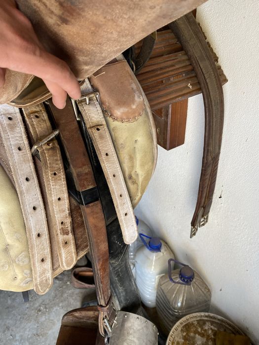 Vendo cela á portuguesa