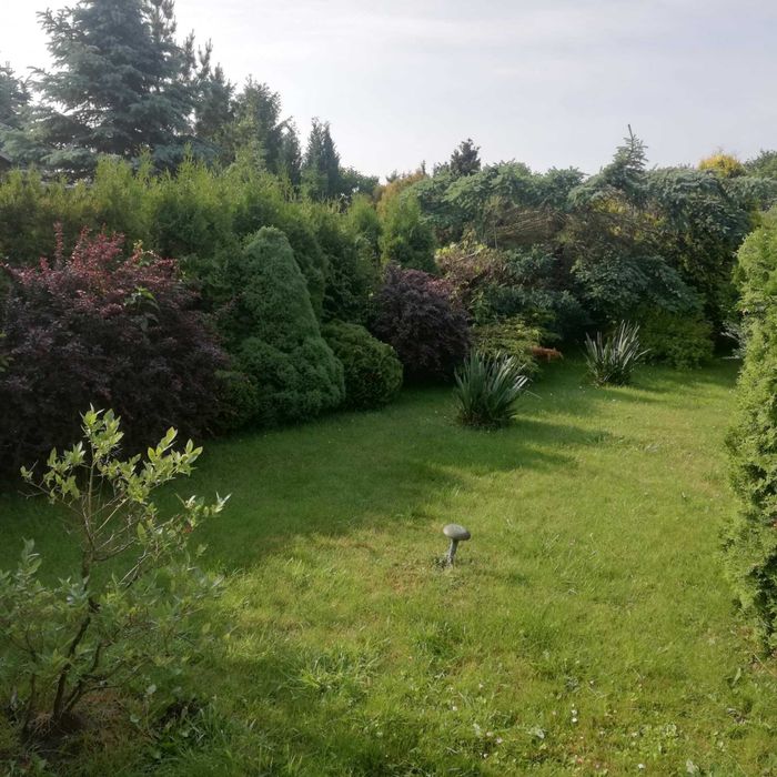 Sprzedam działkę ROD 300m2, z murowanym domkiem. Zgierz