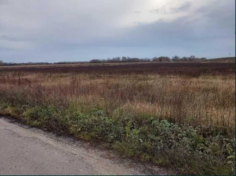 Земельна ділянка сільськогосподарського призначення.