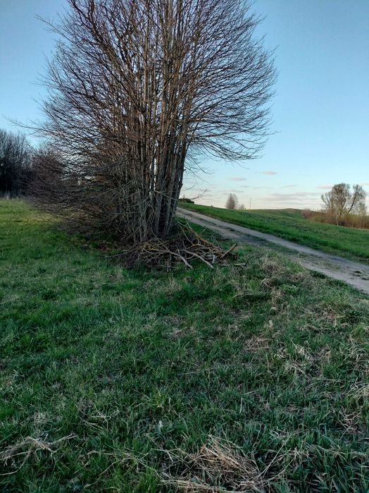 Działka dwupoziomowa z warunkami zabudowy