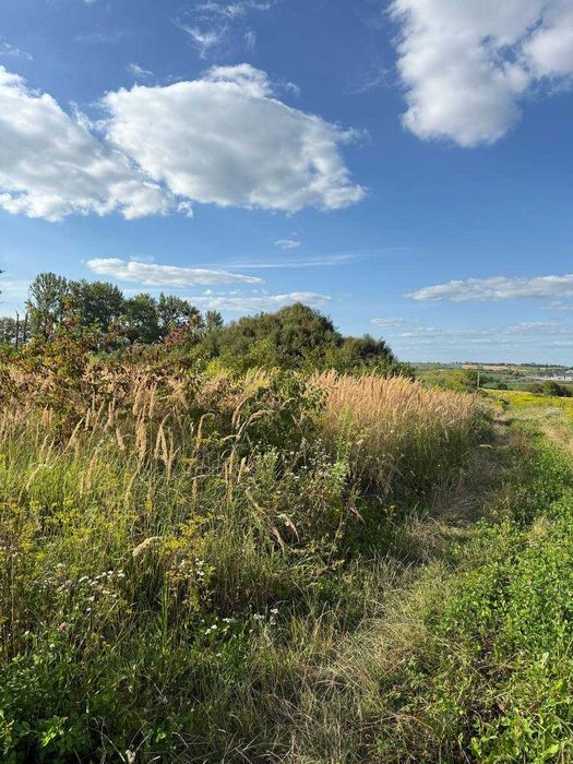 земельна ділянка 10 сот. ОЖБ с. Малі Підліски