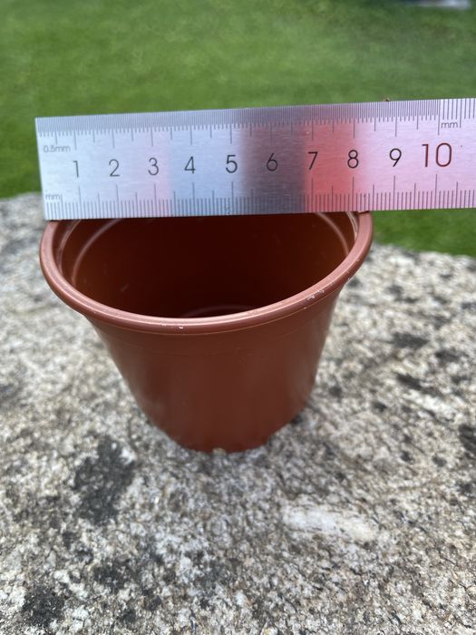 Conjunto de 50 vasos de plástico 8,5 cm.