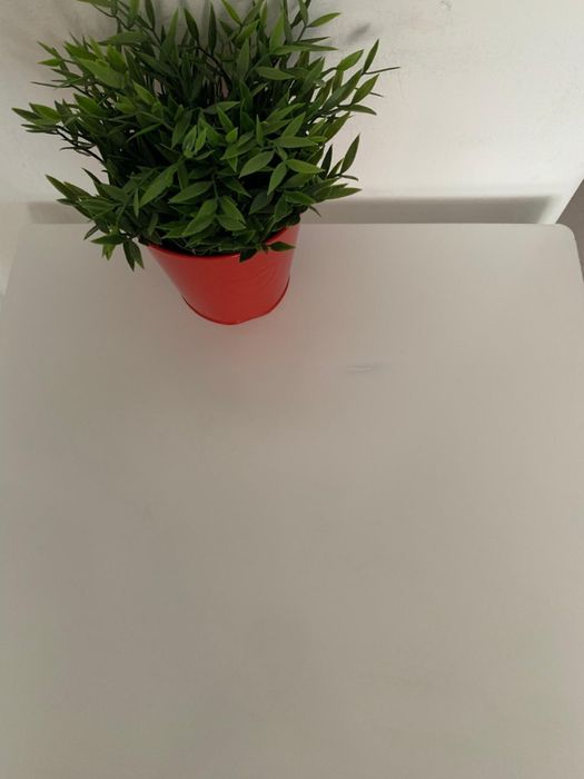 Mesa e cadeira dobrável + coxim anti-derrapante, para exterior ou interior.