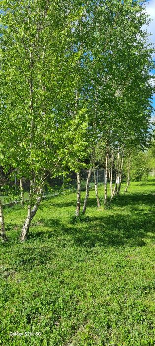 Mazovia Village - domki blisko Suntago